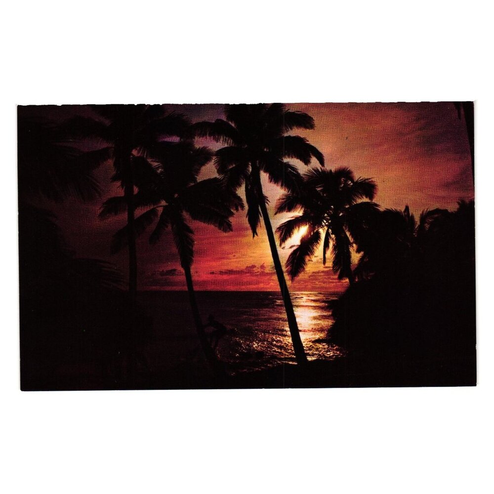 Vintage Postcard Hawaiian Evening Sunset Palm Trees Honolulu Vacation Tropical